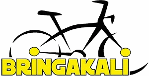 Bringakali