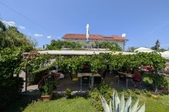 PXL_20250706_115709059-scaled