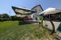 PXL_20250706_115811178-scaled